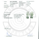 Test Reports IPG466SM-SSB-01